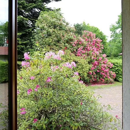 Villa San Rocco 73